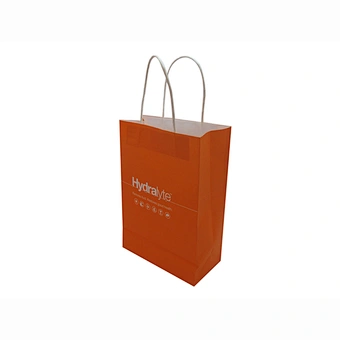 Wholesale Eco-Friendly Orange Custom Kraft Paper Bag with Handles