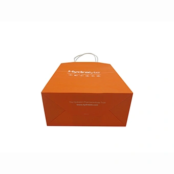 Wholesale Eco-Friendly Orange Custom Kraft Paper Bag with Handles